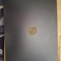 Macbook air M4 256 go