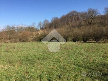 TER. AGRICOLO A PALESTRINA