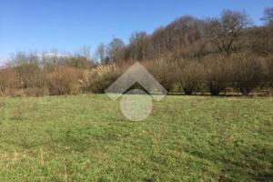 TER. AGRICOLO A PALESTRINA