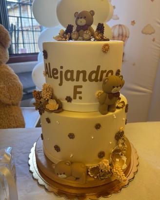 Torta finta