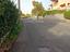 Immagine 15