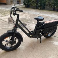 Fiido T2 Longtail Cargo Bici Elettrica Fat Bike