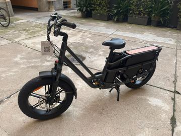 Fiido T2 Longtail Cargo Bici Elettrica Fat Bike