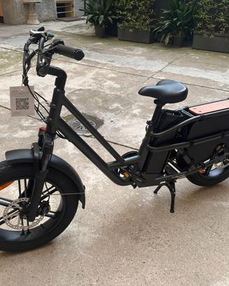 Fiido T2 Longtail Cargo Bici Elettrica Fat Bike