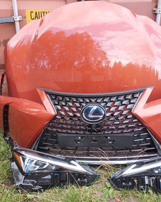 Lexus UX Muso e Airbag