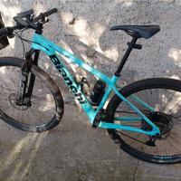 MTB Bianchi Methanol cvs