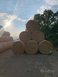 Paglia da foraggio