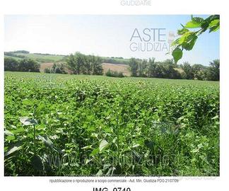 Terreno Agricolo Agugliano [A4301826]