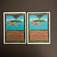 Uccelli del Paradiso Magic 4 edizione