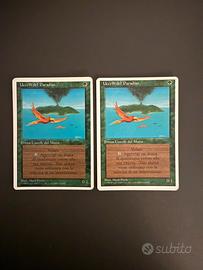 Uccelli del Paradiso Magic 4 edizione