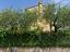 Immagine 22