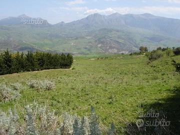 Terreno edificabile fino a 3 lotti a Cerda (Pa)