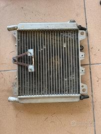 Radiatore scarabeo 300s
