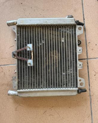Radiatore scarabeo 300s