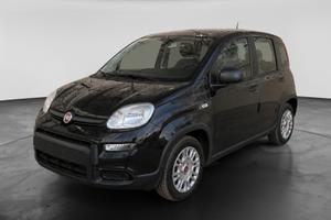 FIAT Panda III 2021 - Panda 1.0 firefly hybrid s&s