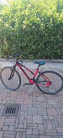 Mountain Bike ragazza/donna