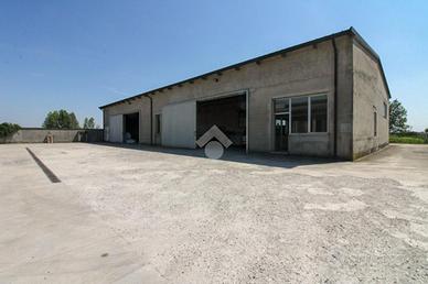 CAPANNONE A PESCAROLO ED UNITI