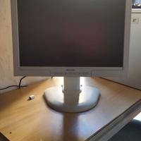 Philips 19 pollici Monitor PC telescopico vga