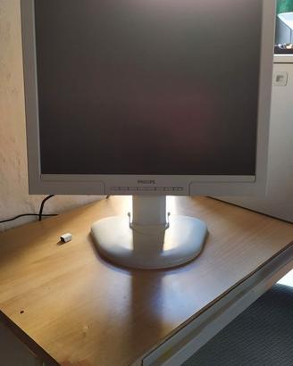 Philips 19 pollici Monitor PC telescopico vga