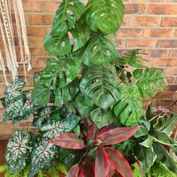 Piante ornamentali finte da interno.