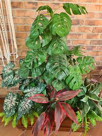 Piante ornamentali finte da interno.