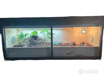 Terrario completo nuovo