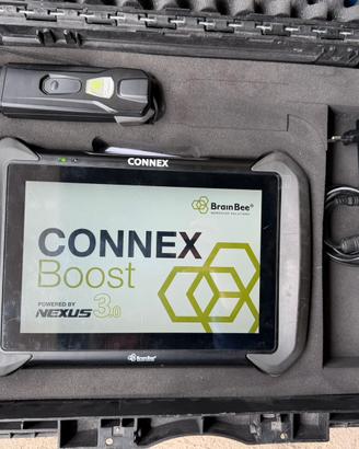 Brain bee connex