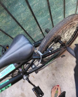 bmx 360 bimbo