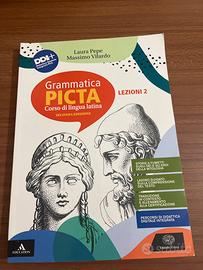 Grammatica Picta Lezioni 2 Einaudi Scuola