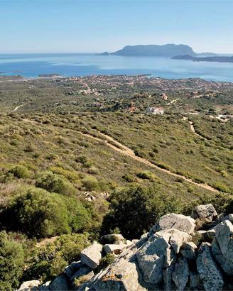 Terreno Agricolo a Olbia