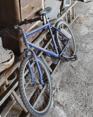 mountain bike