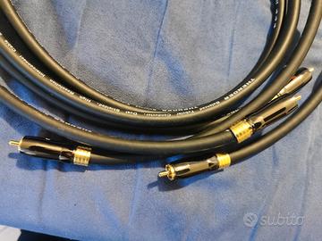 cavi rca thender 