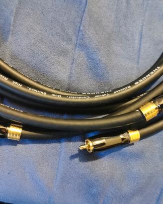 cavi rca thender 