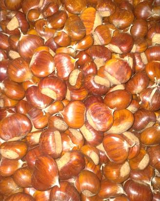 castagne 