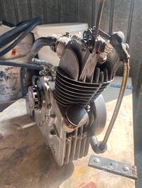 Motore Ducati cucciolo 4tempi
