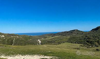Terreno di 7.440 m² con vista mare, ulivi e rudere