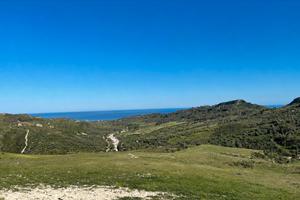 Terreno di 7.440 m² con vista mare, ulivi e rudere