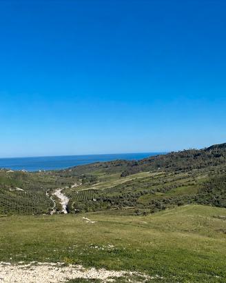 Terreno di 7.440 m² con vista mare, ulivi e rudere