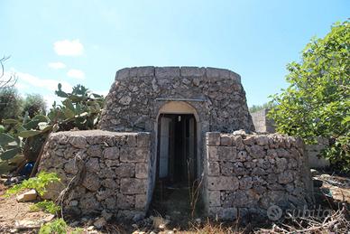 Terreno con trullo c.da Neviera San Marzano di S.G
