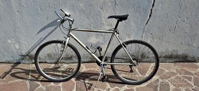 Bici arrampichino