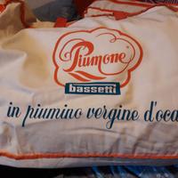 Piumone singolo Bassetti