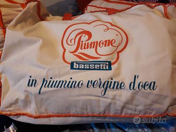 Piumone singolo Bassetti