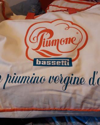 Piumone singolo Bassetti