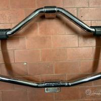 Paramotore Harley Mustache Sportster
