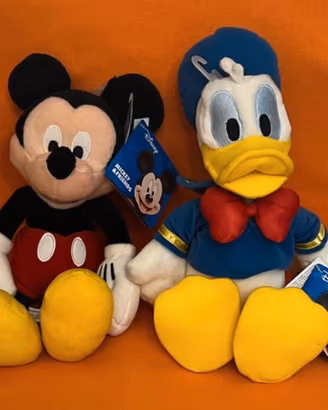 Topolino e Paperino  Disney