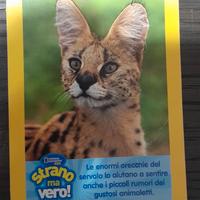 Card animale Happy Meal Mc Donald's