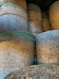 Rotoballe d'erba medica