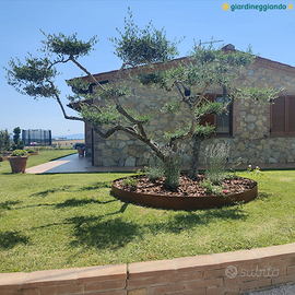 CERCHIO DA GIARDINO IN CORTEN