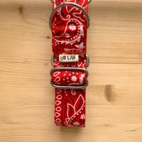 Collare martingala per cani