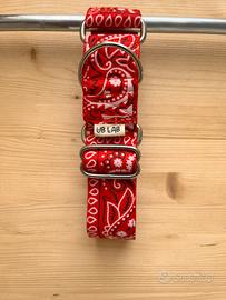 Collare martingala per cani